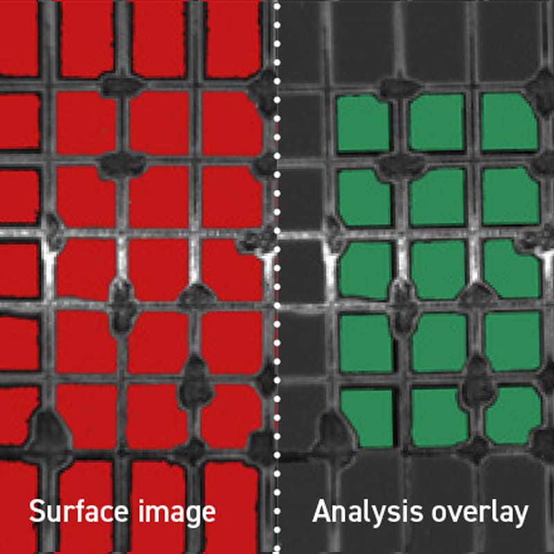 Aesthetix ASTM class 2 analysis, cross-cut 79.7%